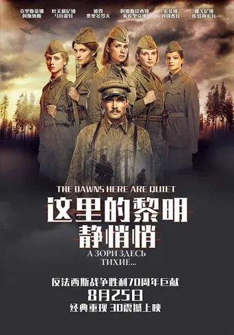这里的黎明静悄悄海报