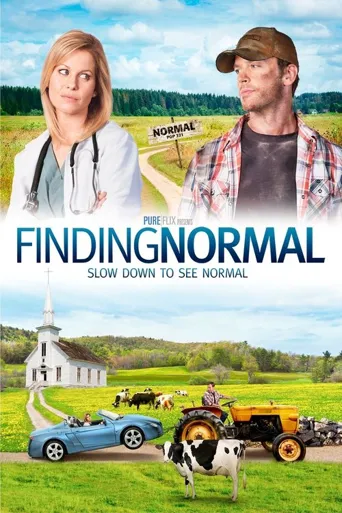 Finding Normal海报