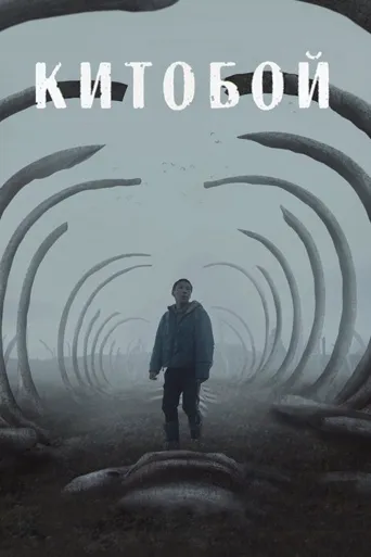 捕鲸男孩海报