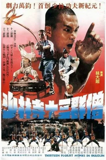 十三癫和尚海报