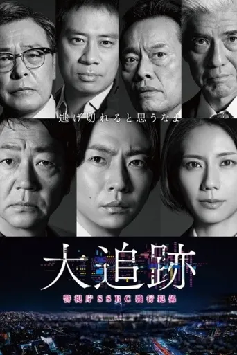 大追踪〜警视厅SSBC强行犯系〜海报