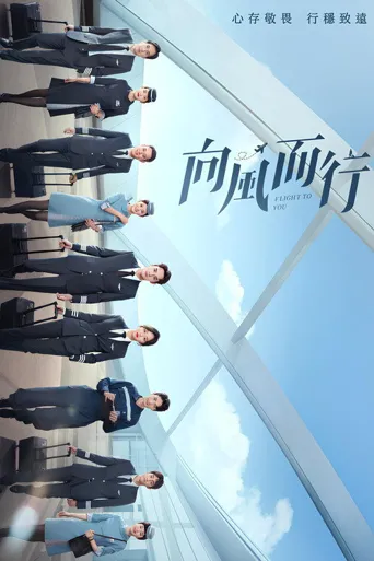 向风而行海报