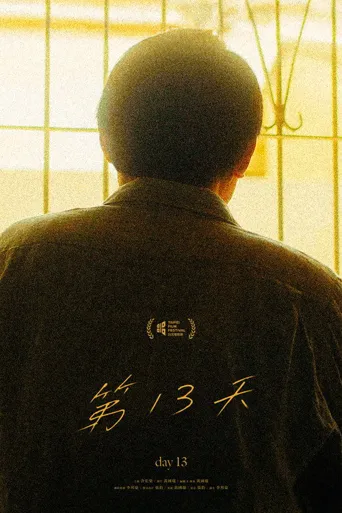 第13天海报