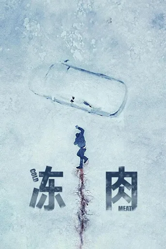 冻肉海报