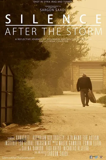 Silence After the Storm海报