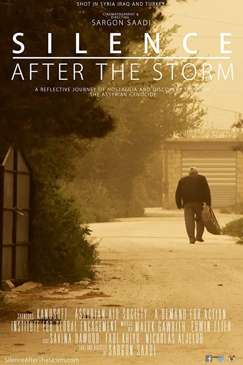 Silence After the Storm海报