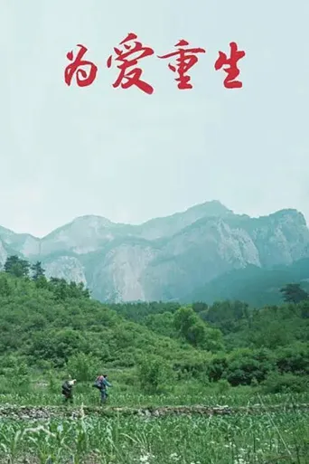 为爱重生海报