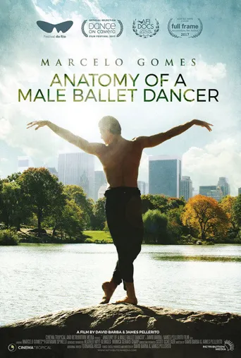 Anatomy of a Male Ballet Dancer海报