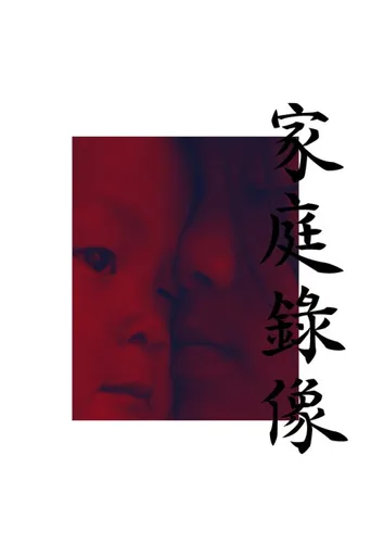 家庭录像海报