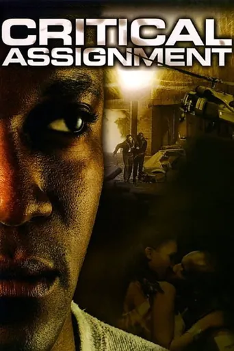 critical assignment海报