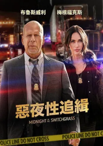 午夜的柳枝海报