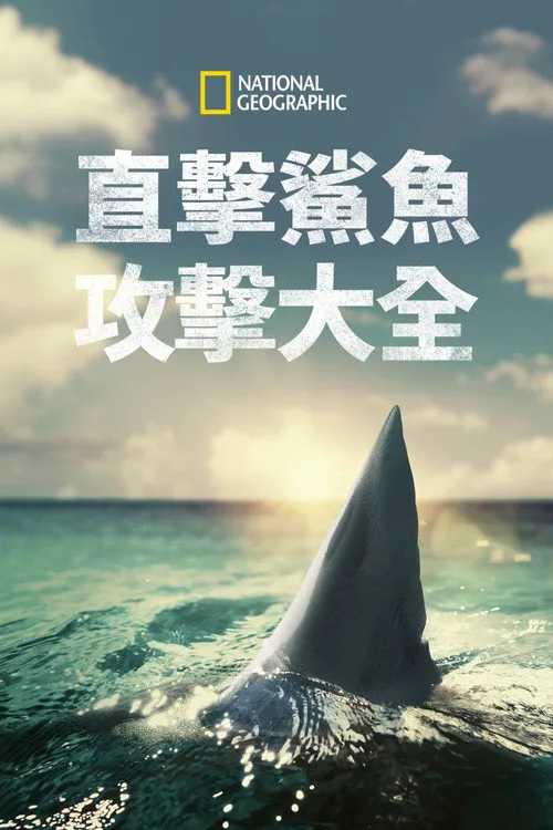 When Sharks Attack 360 第 1 季海报