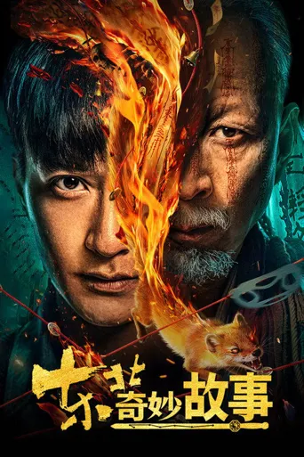 东北奇妙故事海报