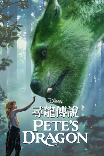 彼得的龙海报