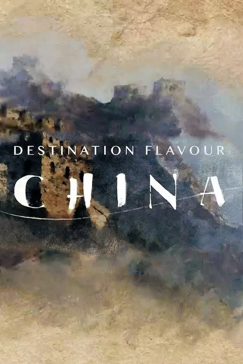 滋味中国海报