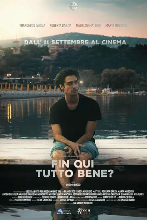 Fin qui tutto bene?海报
