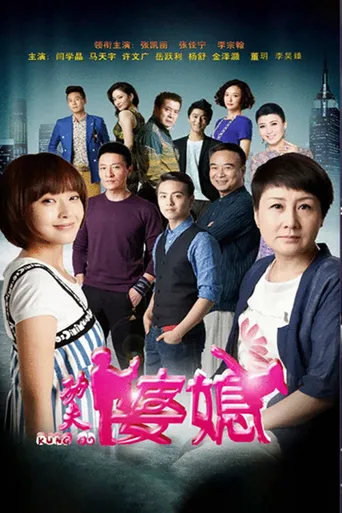 功夫婆媳海报