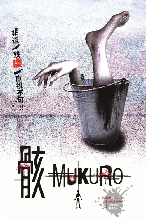 骸海报