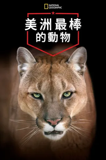 美洲伟大的动物海报