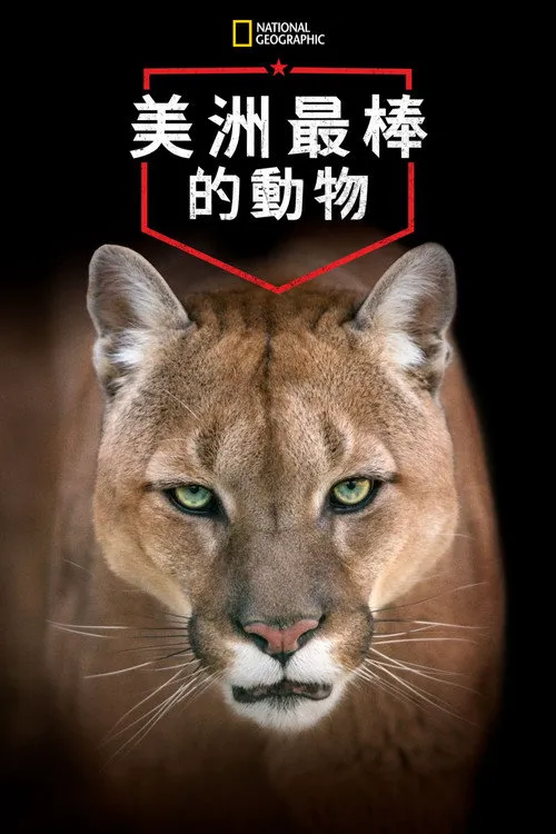 美洲伟大的动物海报