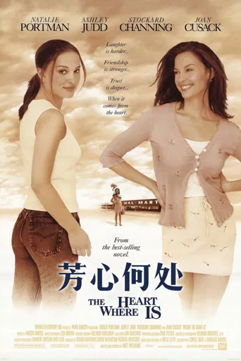 芳心何处海报