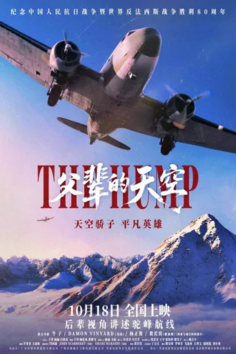 父辈的天空海报
