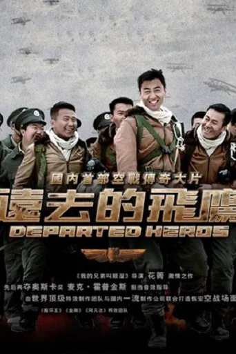 远去的飞鹰海报