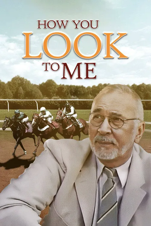 How You Look to Me海报