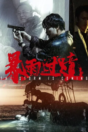 暴雨过境海报