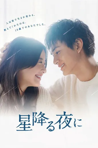 于星降之夜海报