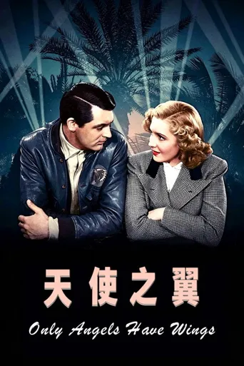 天使之翼海报