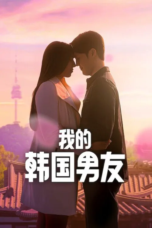 我的韩国男友 第 1 季海报