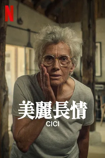 美丽长情海报