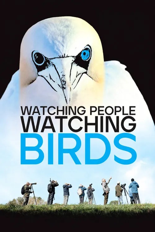 Watching People Watching Birds海报