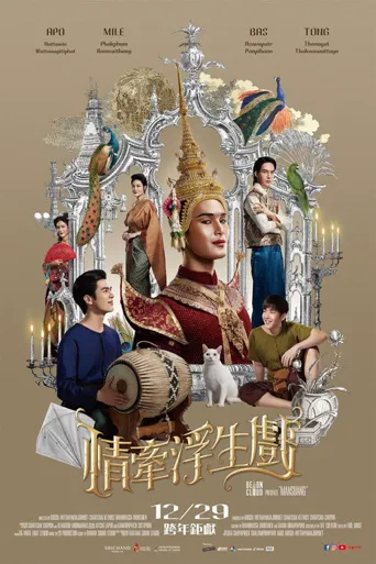 情牵浮生戏海报