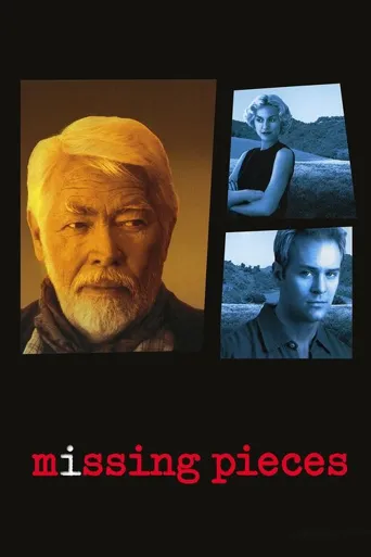 Missing Pieces海报