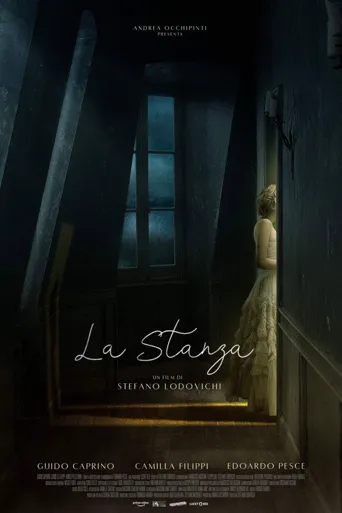 入主客房海报