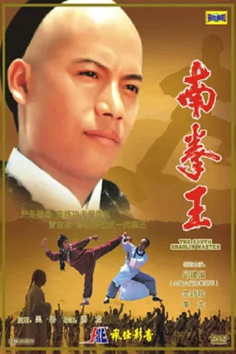 南拳王海报