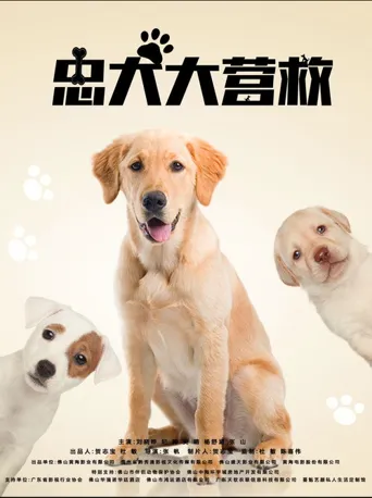 忠犬大营救海报