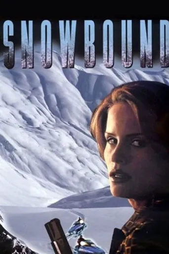 Snowbound海报
