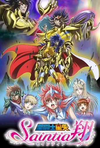 圣斗士星矢 圣斗少女翔海报