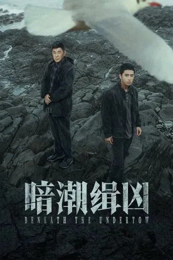 暗潮缉凶海报