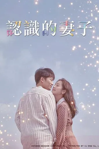认识的妻子海报