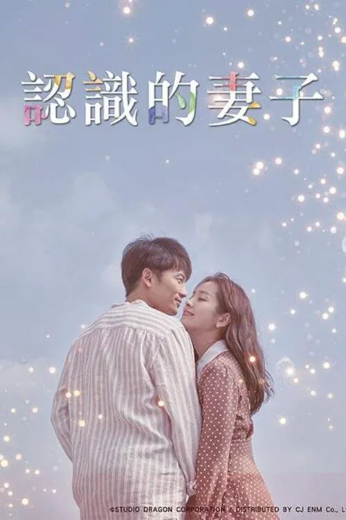 认识的妻子海报