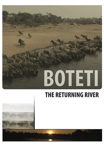 Boteti: The Returning River海报