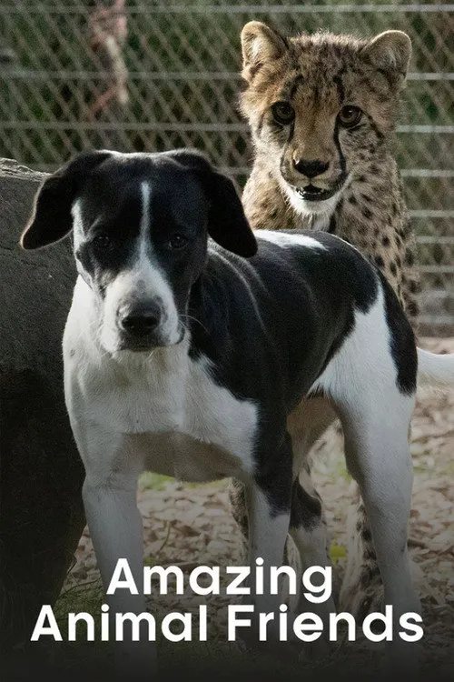 Amazing Animal Friends 第 1 季海报