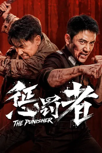 惩罚者海报