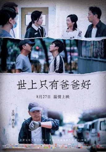 世上只有爸爸好海报