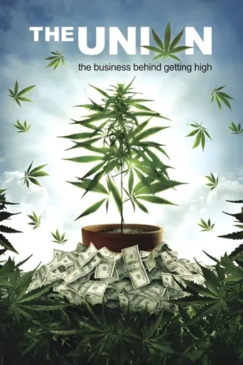 大麻调查海报