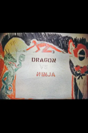 Dragon vs. Ninja海报